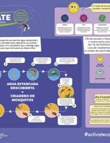 Semana de acción contra los mosquitos 2018 - 2019: Infografía. Elimina criaderos. La clave está en evitar que los mosquitos encuentren agua estancada y limpia. ( jpg A3)
