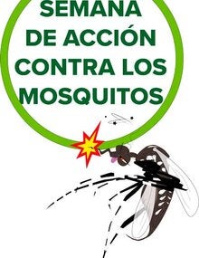 Semana de Acción contra los Mosquitos 2018 - 2019: Slogan con mosquito- 1297x2104px (PNG) 