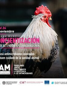 Proyecto UE-OPS-OMSA-FAO: (Argentina) Tarjeta para redes sociales "Uso de antimicrobianos" 1, 2020