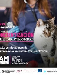 Proyecto UE-OPS-OMSA-FAO: (Argentina) Tarjeta para redes sociales "Uso de antimicrobianos" 2, 2020