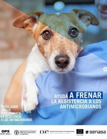 Proyecto UE-OPS-OMSA-FAO: (Argentina) Tarjeta para redes sociales 1, 2021