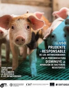 Proyecto UE-OPS-OMSA-FAO: (Argentina) Tarjeta para redes sociales 2, 2021