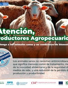 Proyecto UE-OPS-OMSA-FAO: (Colombia) Tarjeta para redes sociales 4, 2021