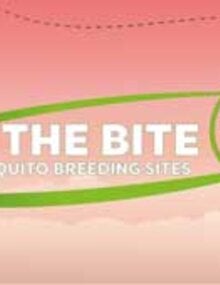 Mosquito awareness week 2018-2019. "Fight the bite". Banner Web 3211x1363px (JPG)