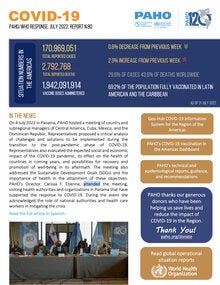COVID-19 - PAHO/WHO Response, Report 80 (July 31, 2022)