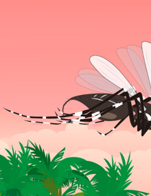 Caribbean Mosquito Awareness Week 2020