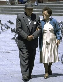 aging couple walking among pigeons in a plaza