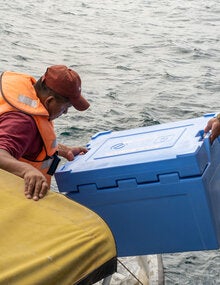 Mantaining the cold cahin to preserve vaccines