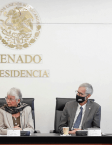 Reunión de OPS con la Comisión de Organismos Internacionales del Senado