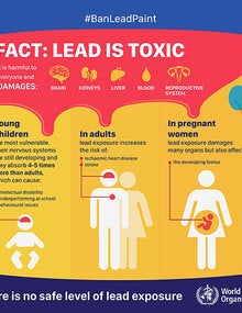 Infographic - Fact: Lead is toxic