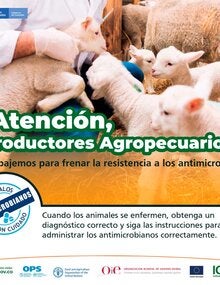 (Colombia) Tarjeta para redes sociales 8, 2021