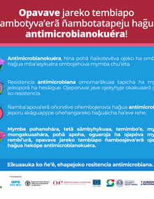 (Paraguay) Flyer SENACSA 01, 2021-guaraní