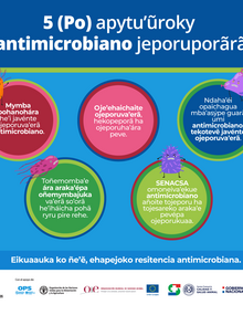 (Paraguay) Flyer SENACSA 02, 2021-guaraní