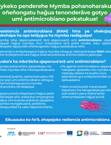 (Paraguay) Flyer SENACSA 03, 2021-guaraní