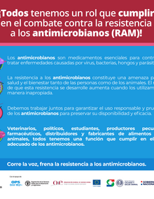 (Paraguay) Flyer 01, 2021