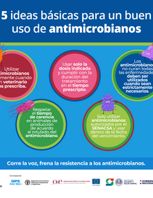 (Paraguay) Flyer SENACSA 01, 2021-guaraní