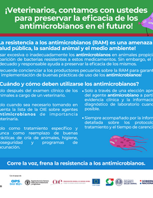 (Paraguay) Flyer SENACSA 01, 2021-guaraní