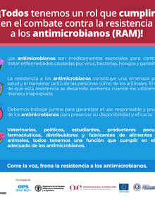 (Paraguay) Flyer Vice Ministerio de Ganadería RAM 01, 2021