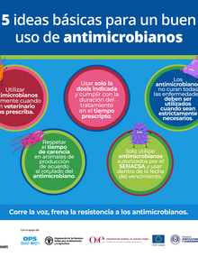 (Paraguay) Flyer Vice Ministerio de Ganadería RAM 02, 2021