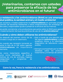 (Paraguay) Flyer Vice Ministerio de Ganadería RAM 03, 2021