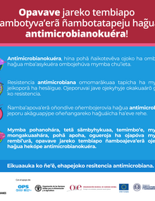 (Paraguay) Flyer Vice Ministerio de Ganadería RAM 01, 2021- guaraní