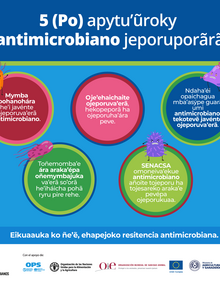 (Paraguay) Flyer Vice Ministerio de Ganadería RAM 02, 2021- guaraní