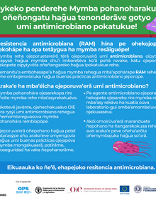 (Paraguay) Flyer Vice Ministerio de Ganadería RAM 03, 2021- guaraní