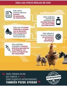 (Perú) Afiche RAM, 2021