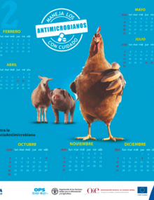 (Perú) Calendario RAM, 2021