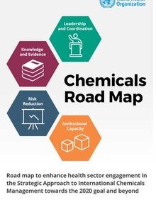 Chemicals Road Map and Workbook