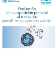 Evaluación de la exposición prenatal al mercurio; 2018 