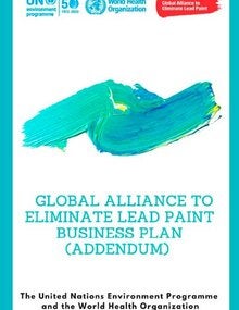 Global Alliance to Eliminate Lead Paint: business plan (‎Addendum); 2022