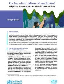 Global elimination of lead paint: why and how countries should take action - Policy brief; 2020