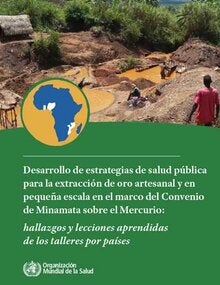 Desarrollo de estrategias de salud pública para la minería artesanal y en pequeña escala en el marco del Convenio de Minamata sobre el mercurio: hallazgos y lecciones aprendidas de los talleres nacionales; 2021