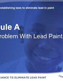 Toolkit for establishing laws to eliminate lead paint; 2016