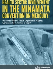 Health Sector involvement in the Minamata Convention on Mercury; 2018