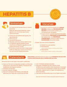 hepatitis b