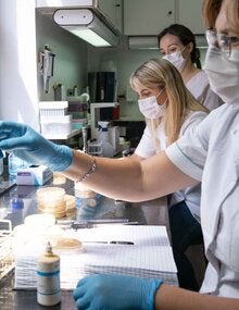 Identificación y detección de mecanismos de resistencia de las muestras que recibe el laboratorio.