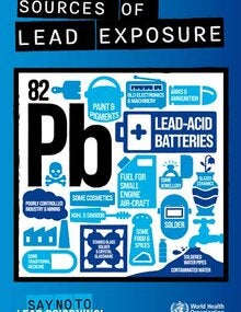 Poster: Sources of lead exposure (in blue)