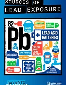 Poster: Sources of lead exposure (in color)