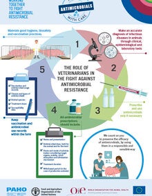 Infographic PDF print: "The role of veterinarians in the fight against antimicrobial resistance"