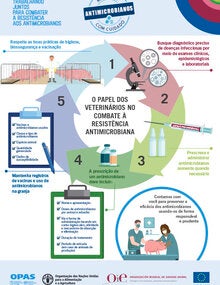 Infografia PDF print: "O papel dos veterinários no combate à resistência antimicrobiana"