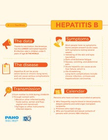 hepatitis b