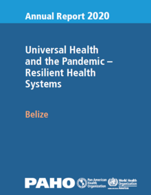 PAHO Belize Country Report 2020