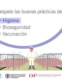 GIF: El rol de los veterinarios (2022)