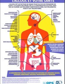 L’alcool et votre santé