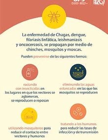 Infografía: Día Mundial de las Enfermedades Tropicales Desatendidas 2023 -1