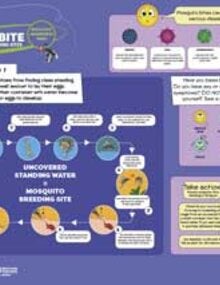 Mosquito awareness week 2018-2019: Infographic. Mosquito bites can transmit serious diseases (JPG)