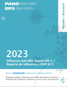 Weekly updates, Influenza Epidemiological Week 5 (10 February 2023)