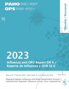 Reporte Semanal de Influenza, Semana Epidemiológica 6 (17 de febrero del 2023)
